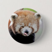 Buttonnen rode panda. Panda roux. Ronde Button 5,7 Cm (Voorkant)