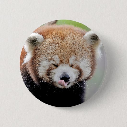 Buttonnen rode panda. Panda roux. Ronde Button 5,7 Cm (Voorkant)