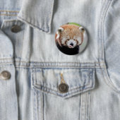 Buttonnen rode panda. Panda roux. Ronde Button 5,7 Cm (In situ)