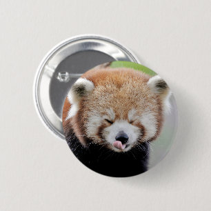 Buttonnen rode panda. Panda roux. Ronde Button 5,7 Cm