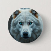 Buttons  (Voorkant)