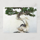 Buttonwood Bonsai Tree Briefkaart (Voorkant)