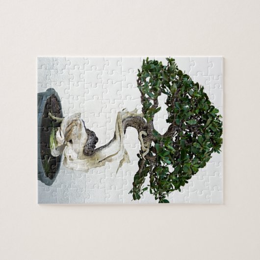 Buttonwood Bonsai Tree Legpuzzel (Horizontaal)