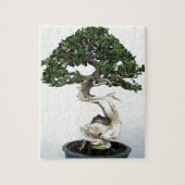 Buttonwood Bonsai Tree Legpuzzel (Verticaal)