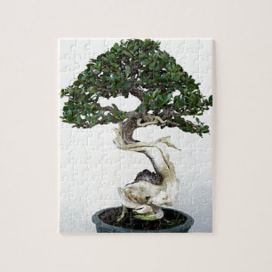 Buttonwood Bonsai Tree Legpuzzel
