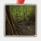 Buttress Roots. Rainforest, Mapari Rupununi, 2 Metalen Ornament (Voorkant)