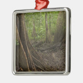 Buttress Roots. Rainforest, Mapari Rupununi, 2 Metalen Ornament (Links)