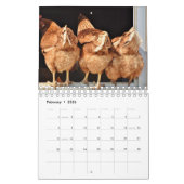 Butts Kalender (Feb 2026)