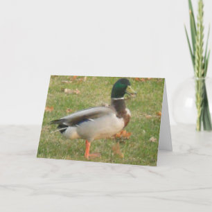 "Buurmallard #2" - Hartelijk dank - Kaart