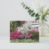 Buurregio Azaleas Briefkaart (Staand voorkant)