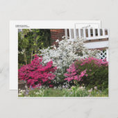 Buurregio Azaleas Briefkaart (Voorkant / Achterkant)
