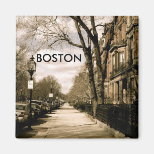 Buurt van het Gemenebest (sepia) Magneet