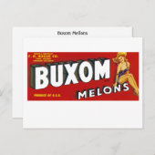 Buxom Mellons Briefkaart (Voorkant / Achterkant)