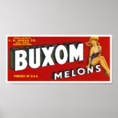 Buxom Mellons Poster (Voorkant)