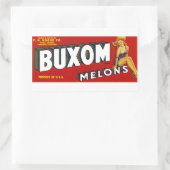 Buxom Mellons Rechthoekige Sticker (Tas)