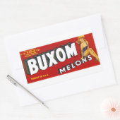 Buxom Mellons Rechthoekige Sticker (Envelop)