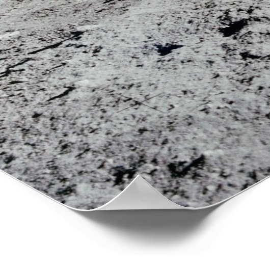 Buzz Aldrin en Lunar Module op de maan Poster (Hoek)