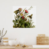 Buzz Buzz en Floral Poster (Keuken)