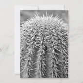 Buzz Cut Cactus (AZ Sonoran Desert) Kaart (Voorkant)