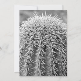 Buzz Cut Cactus (AZ Sonoran Desert) Kaart