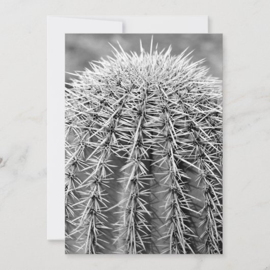 Buzz Cut Cactus (AZ Sonoran Desert) Kaart (Voorkant)