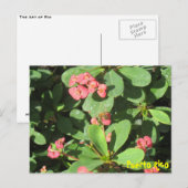 Buzz Off Briefkaart (Voorkant / Achterkant)