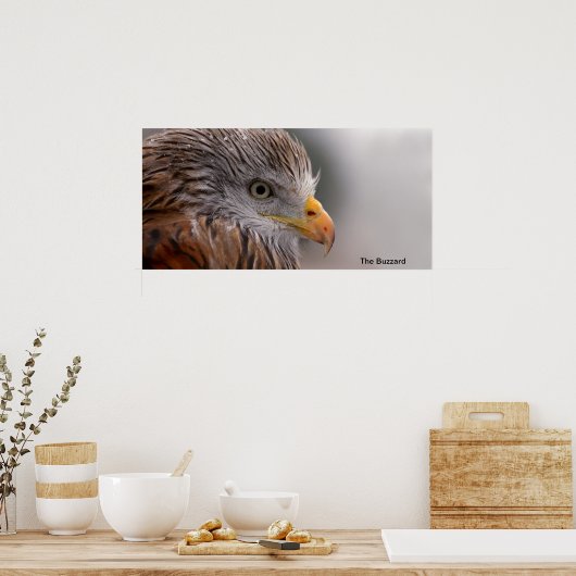 Buzzard afbeelding voor Poster (Keuken)