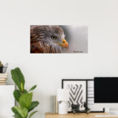 Buzzard afbeelding voor Poster (Thuiskantoor)