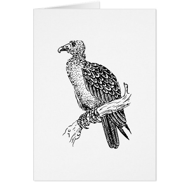 Buzzard Bird Art (Voorkant)