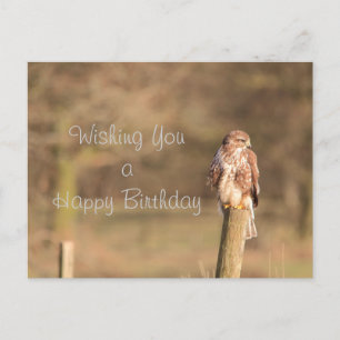 Buzzard Briefkaart