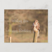 Buzzard Briefkaart (Voorkant)