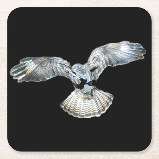 Buzzard Fanned Wings en Tail Landing Onderzetter (Voorkant)