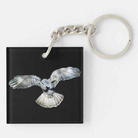 Buzzard Fanned Wings en Tail Landing Sleutelhanger (Achterkant)