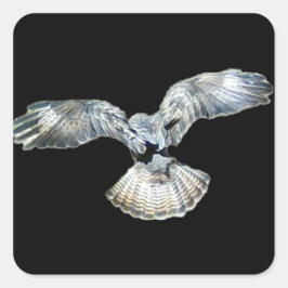 Buzzard Fanned Wings en Tail Landing Vierkante Sticker