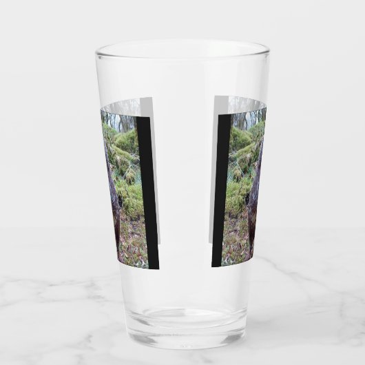 Buzzard Kijkt naar rechts Glas (Links)