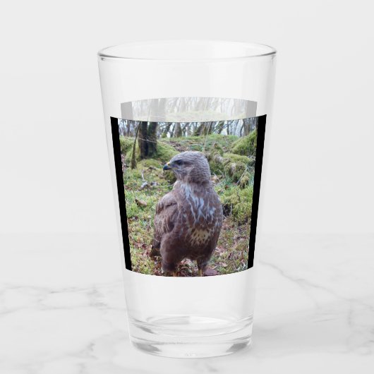 Buzzard Kijkt naar rechts Glas (Voorkant)