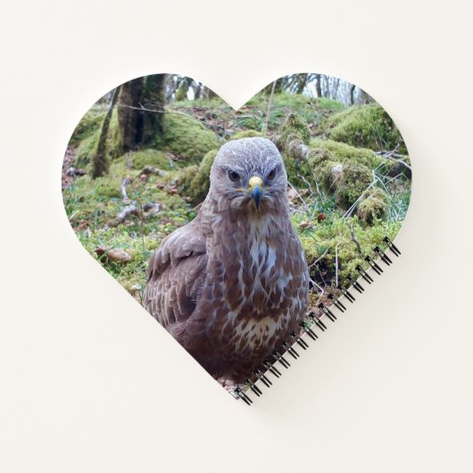 Buzzard met Attitude Heart Notitieboek (Achterkant)