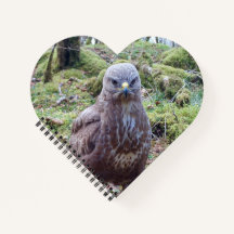 Buzzard met Attitude Heart Notitieboek