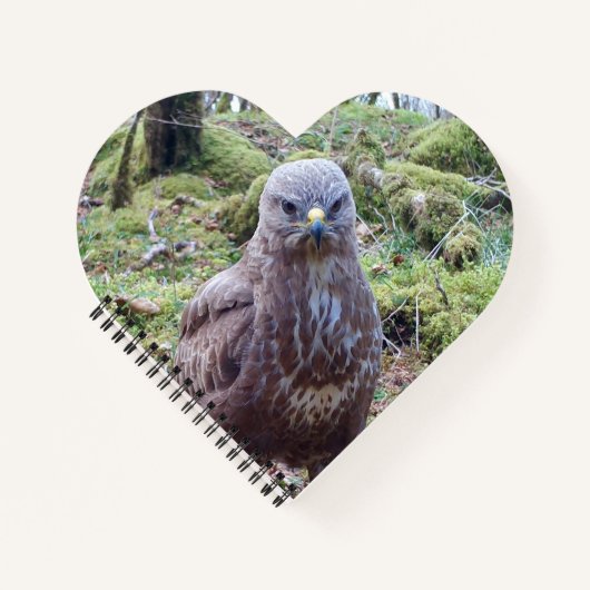 Buzzard met Attitude Heart Notitieboek (Voorkant)