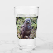 Buzzard met houding glas (Voorkant)