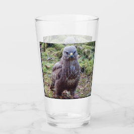 Buzzard met houding glas