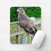 BUZZARD MOUSE MAT MUISMAT (Met muis)