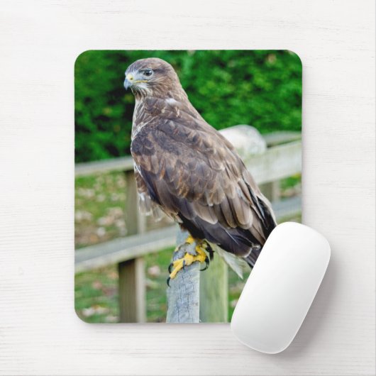 BUZZARD MOUSE MAT MUISMAT (Met muis)