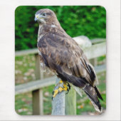 BUZZARD MOUSE MAT MUISMAT (Voorkant)