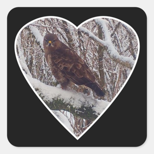 Buzzard op Sneeuwtak in Hart Sticker (Voorkant)