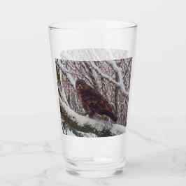 Buzzard op Snowy Branch Glas