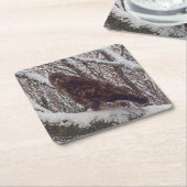 Buzzard op Snowy Branch Onderzetter (Schuin)