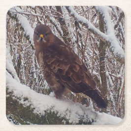 Buzzard op Snowy Branch Onderzetter