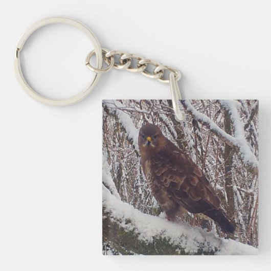 Buzzard op Snowy Branch Sleutelhanger (Voorkant)