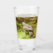 Buzzard op zoek naar grubs glas (Achterkant)